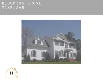 Blooming Grove  makelaar