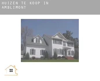 Huizen te koop in  Amblimont