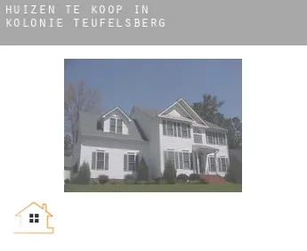 Huizen te koop in  Kolonie Teufelsberg