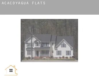 Acacoyagua  flats