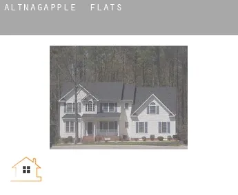 Altnagapple  flats