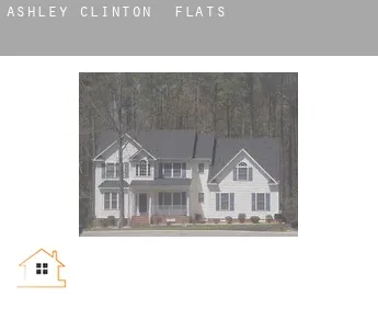 Ashley Clinton  flats