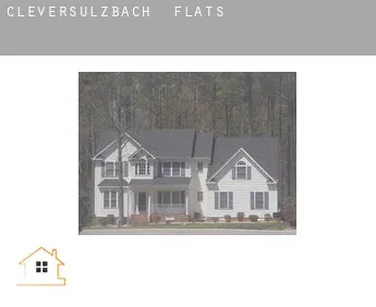 Cleversulzbach  flats