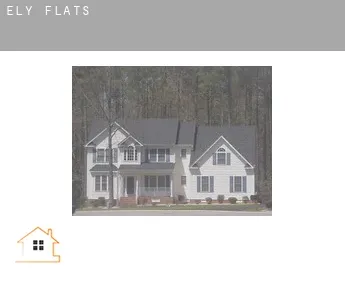 Ely  flats