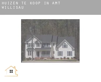 Huizen te koop in  Amt Willisau