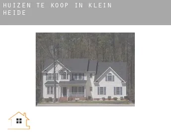 Huizen te koop in Klein Heide