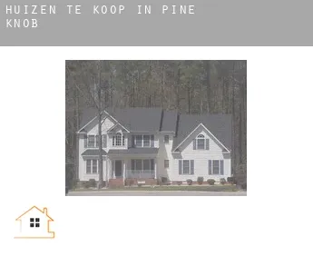 Huizen te koop in  Pine Knob