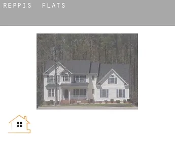 Reppis  flats