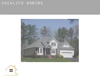 Cocalico  woning