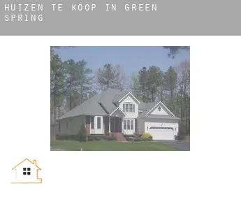 Huizen te koop in  Green Spring