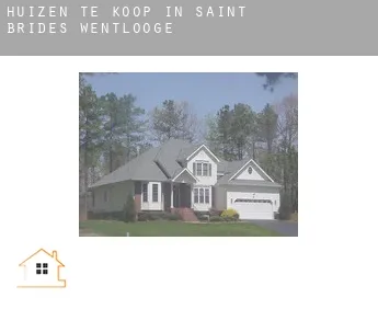 Huizen te koop in  Saint Brides Wentlooge