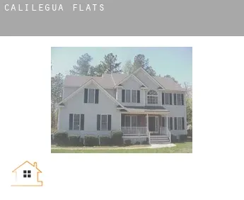 Calilegua  flats