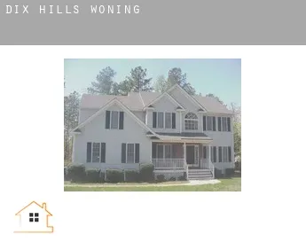 Dix Hills  woning