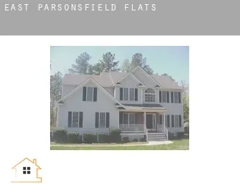 East Parsonsfield  flats