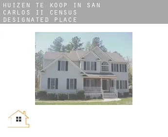 Huizen te koop in  San Carlos II