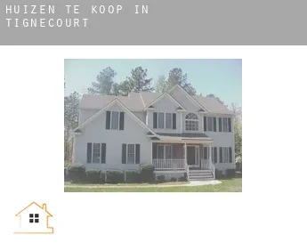 Huizen te koop in Tignécourt