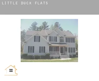 Little Duck  flats