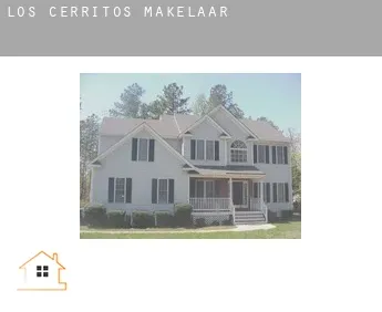 Los Cerritos  makelaar