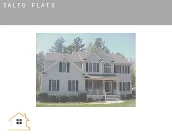 Salto  flats