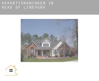 Vakantiewoningen in  Head of Linefork
