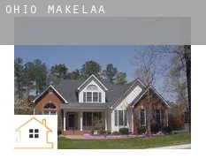 Ohio makelaar