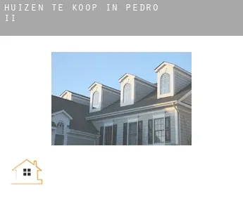 Huizen te koop in  Pedro II